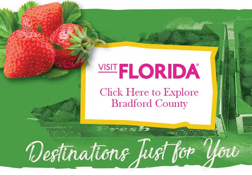 Visit Florida